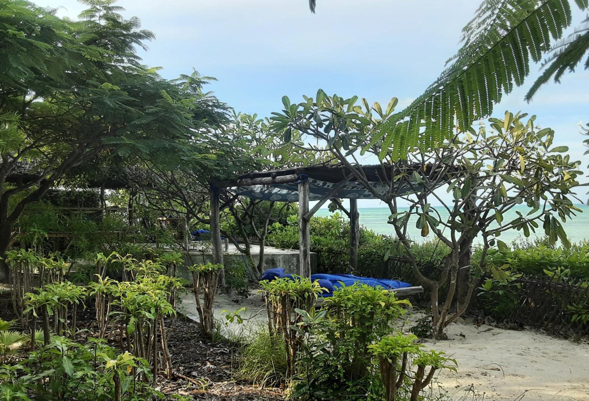 Apartamento La Papaye Verte *